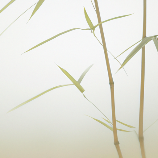 Building Emotional Resilience Through Mindful Self-Awareness - Second image